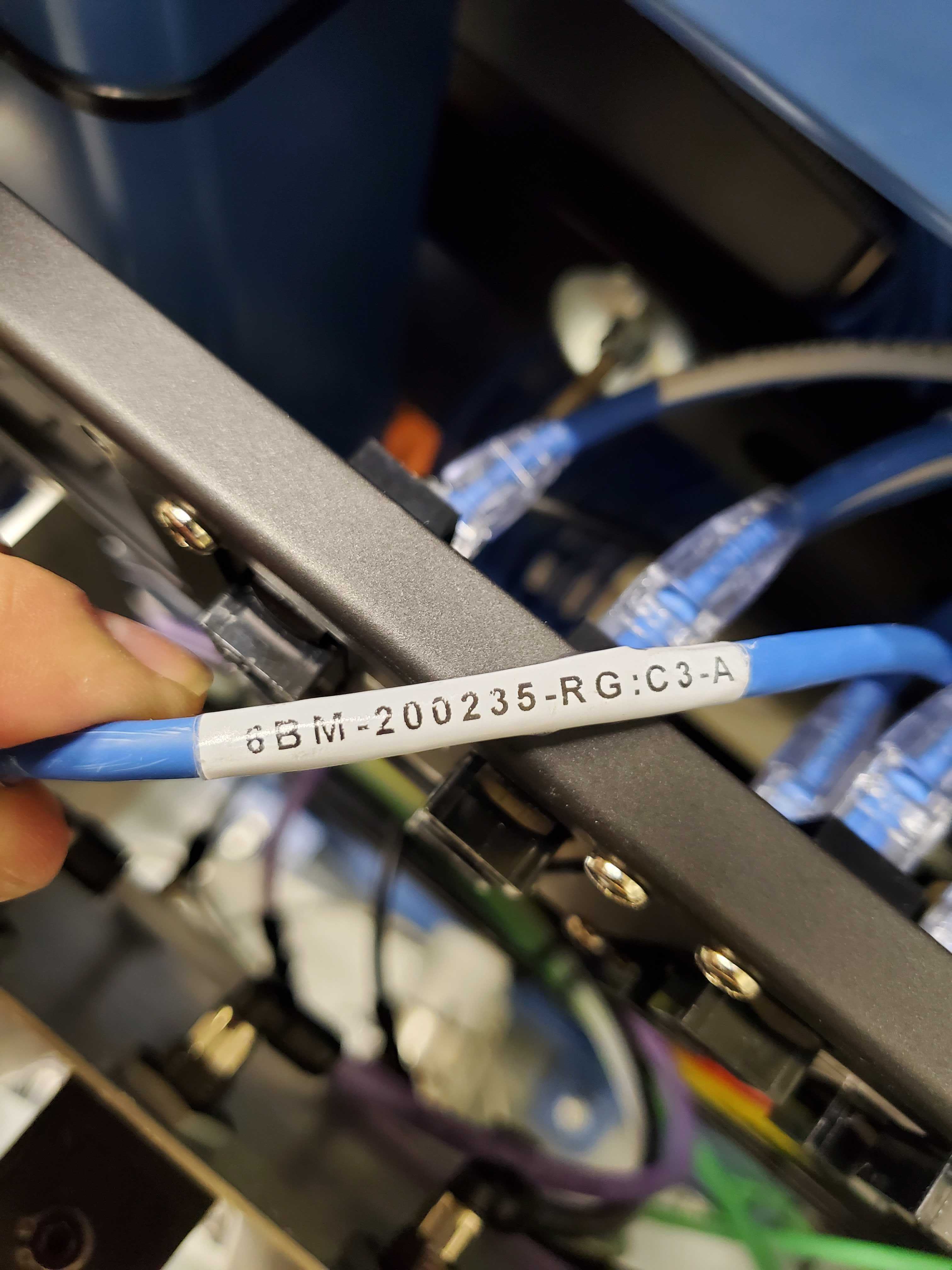 _images/DM3_first_cat6.jpg
