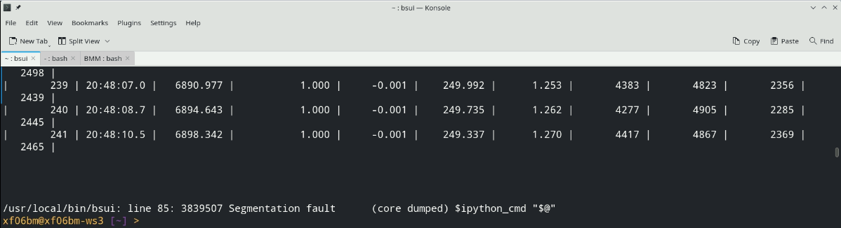 _images/segfault.png