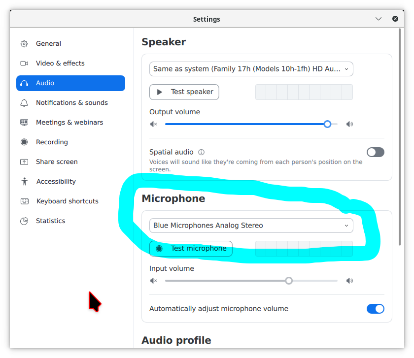 _images/zoom_audio_dialog.png